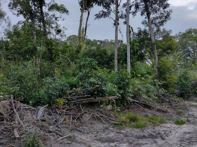 #293 - Terreno para Venda em Itapoá - SC - 1