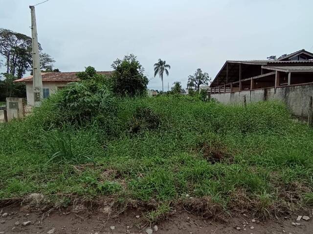 #406 - Terreno para Venda em Itapoá - SC - 1