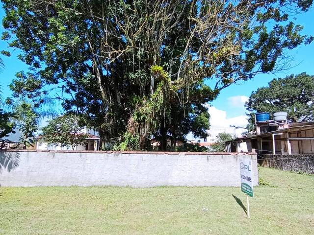 #449 - Terreno para Venda em Itapoá - SC - 3