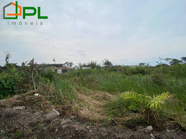 #551 - Terreno para Venda em Itapoá - SC - 1