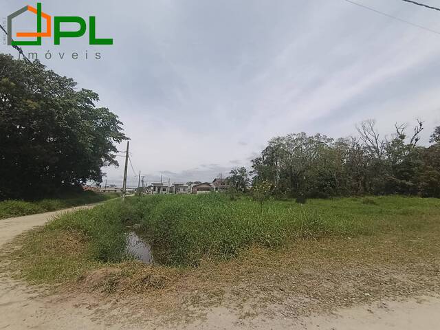 #553 - Terreno para Venda em Itapoá - SC - 1