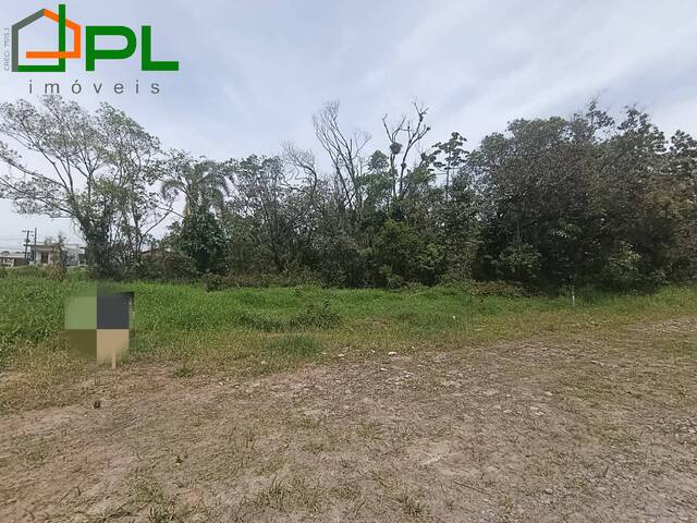 #555 - Área para Venda em Itapoá - SC - 1