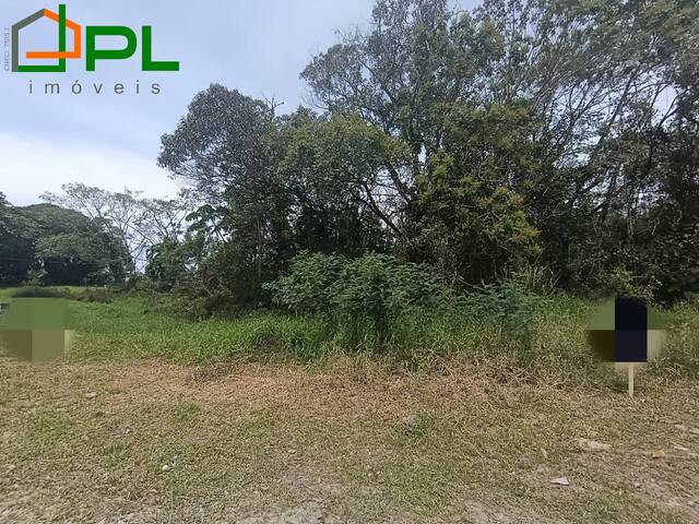 #556 - Terreno para Venda em Itapoá - SC - 1